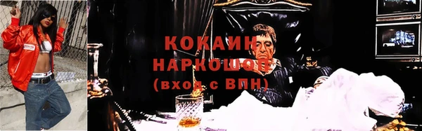 мет Дмитров