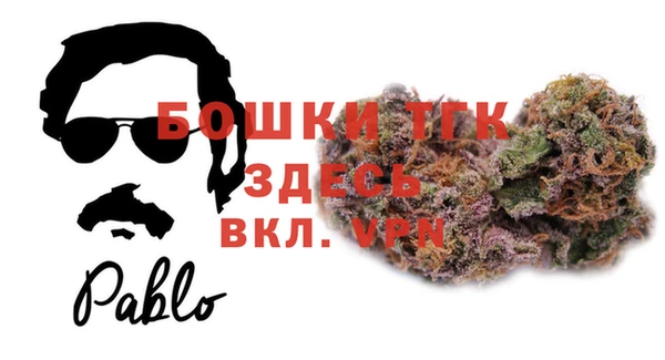 мет Дмитров