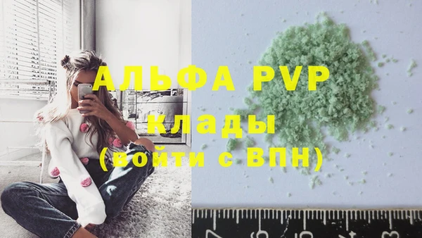 мет Дмитров